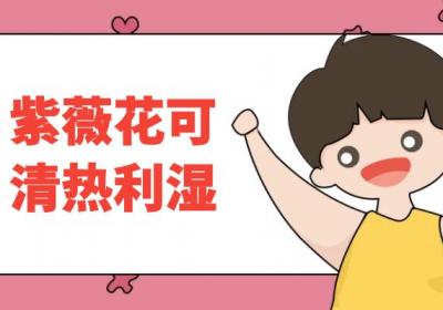紫薇花的功效与作用及禁忌有哪些？