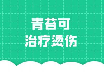 青苔的功效与作用及禁忌有哪些？