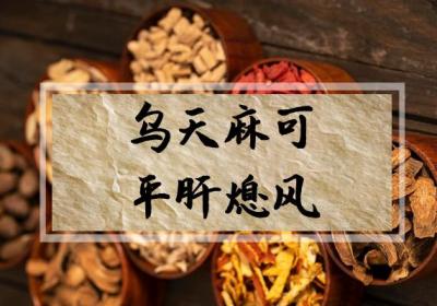关于乌天麻的功效与作用及禁忌你了解多少？