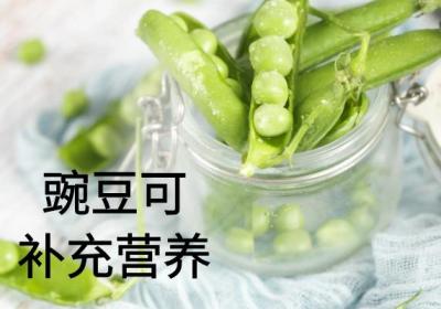 关于雪豆的功效与作用及禁忌你了解多少？