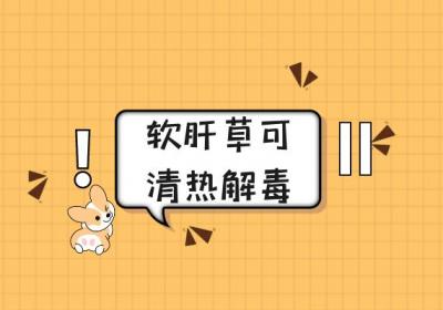 软肝草的功效与作用及禁忌有哪些？