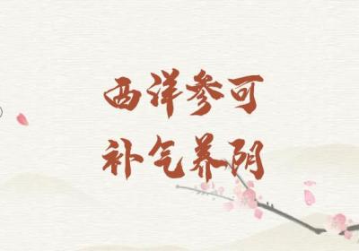 关于西洋参的功效与作用及禁忌你了解多少？