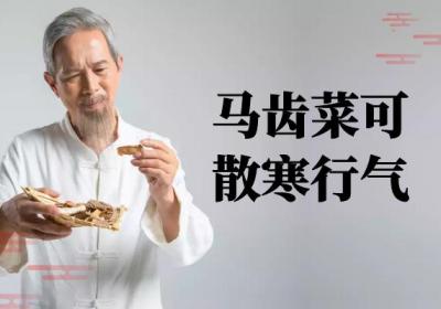 香豆蔻的功效与作用及禁忌有哪些？