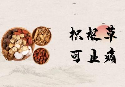 枳根皮的功效与作用及禁忌有哪些？