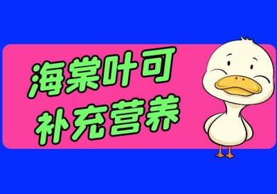 海棠叶的功效与作用及禁忌有哪些？