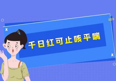 千日红的功效与作用及禁忌有哪些？