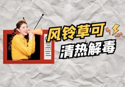 关于风铃草的功效与作用及禁忌你了解多少？