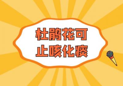 杜鹃花的功效与作用及禁忌有哪些？