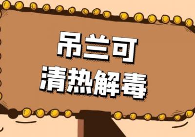 吊兰的功效与作用及禁忌有哪些？