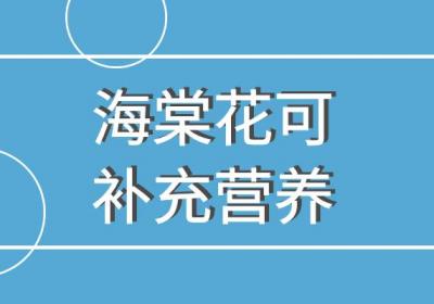 海棠花的功效与作用及禁忌 海棠花能带来什么好处？