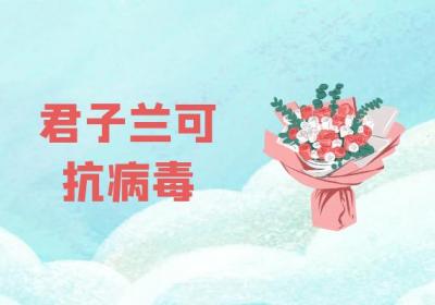 君子兰的功效与作用及禁忌有哪些？