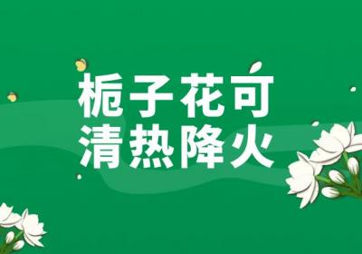 栀子花的功效与作用及禁忌有哪些？