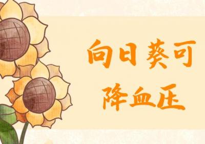 关于向日葵的功效与作用及禁忌你了解多少？
