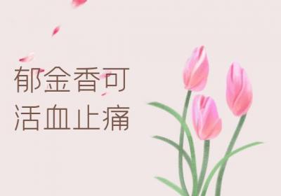 郁金香的功效与作用及禁忌有哪些？
