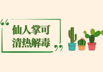 仙人掌的功效与作用及禁忌吃仙人掌有哪些好处？