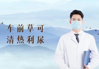 车前草的功效与作用及禁忌有哪些？