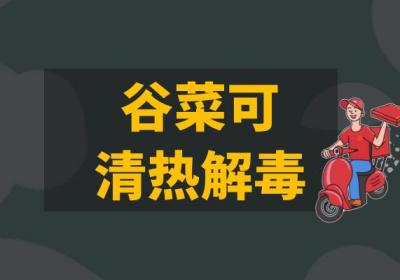 谷菜的功效与作用及禁忌有哪些？