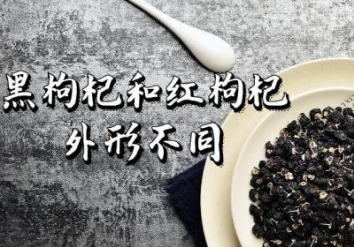 黑枸杞与红枸杞的区别 黑枸杞与红枸杞有什么不同