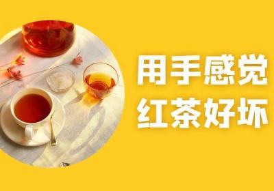 红茶的好坏如何辨别？五个点帮助你有效辨别