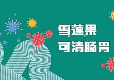 雪莲果的功效与作用及禁忌有哪些？