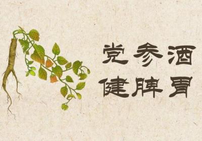 党参酒的功效与作用及禁忌有哪些？