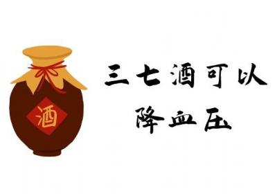关于三七酒的功效与作用及禁忌你了解多少？