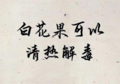 关于白花果的功效与作用及禁忌你了解多少？