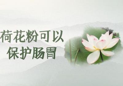 关于荷花粉的功效与作用及禁忌你了解多少？