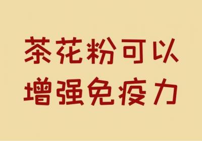 茶花粉的功效与作用及禁忌有哪些？