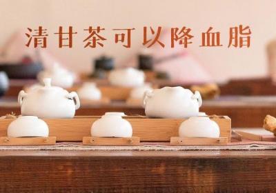 清甘茶的功效和作用有哪些？这几点功效你肯定没想到