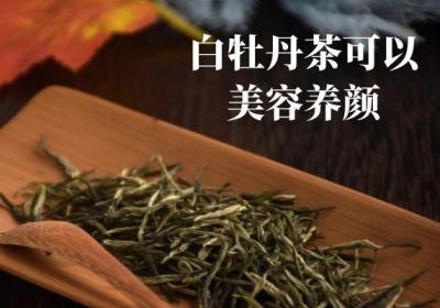 白牡丹茶的功效与作用有哪些？白牡丹茶的禁忌人群