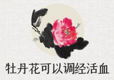 关于牡丹花的功效与作用及禁忌你了解多少？