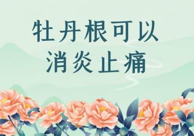 牡丹根的功效与作用 牡丹根有哪些禁忌？