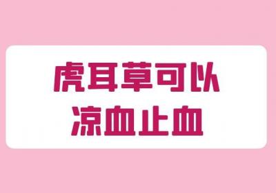 关于虎耳草的功效与作用及禁忌你了解多少？