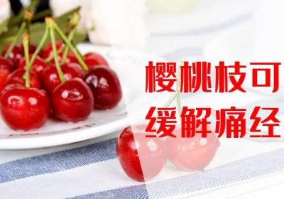 关于樱桃枝的功效和作用，你知道有哪些吗？