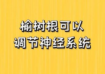 榆树根的功效和作用以及禁忌有哪些？这几点你肯定不知道