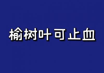 关于榆树叶的功效和作用具体有哪些，一起来看看吧！