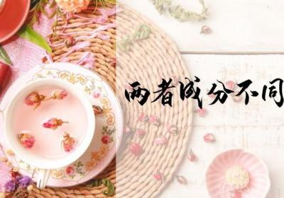 月季花茶和玫瑰花茶的区别有哪些？