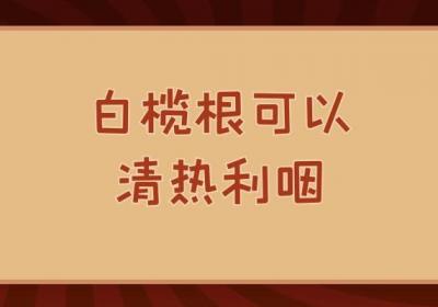 白榄根的功效与作用及禁忌有哪些？