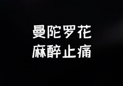 关于曼陀罗花的功效与作用及禁忌你了解多少？