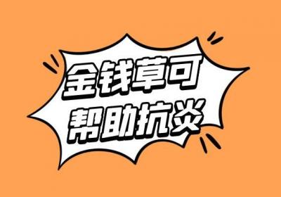 金钱草的功效与作用及禁忌有哪些？