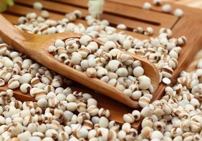 薏米的功效与作用及禁忌