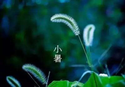 今日小暑，这些养生小知识你都知道吗？