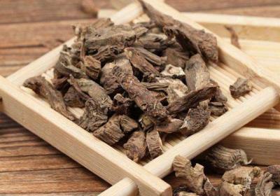 蒲公英根的功效与作用，清热解毒、抗菌消炎