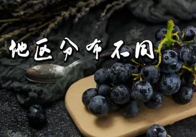 黑葡萄干和黑加仑干的区别有哪些？
