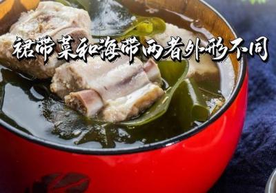 裙带菜和海带的区别有哪些？两者的不同之处有这几个