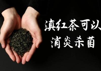 饮用滇红茶的功效与作用及禁忌人群分别有哪些？