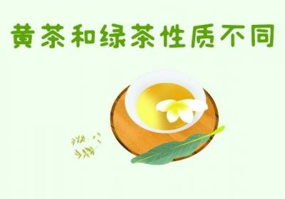 黄茶和绿茶的区别有哪些？两者的不同之处有这几个