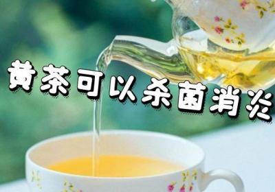 关于黄茶的功效与作用你了解多少？黄茶不适合什么人喝？