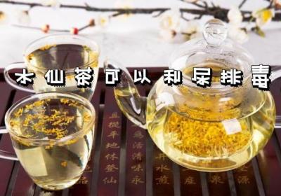 水仙茶的功效与作用及禁忌有哪些？